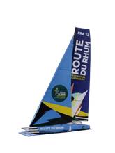 Charger l'image dans la galerie, Imoca officiel Route du Rhum 2022